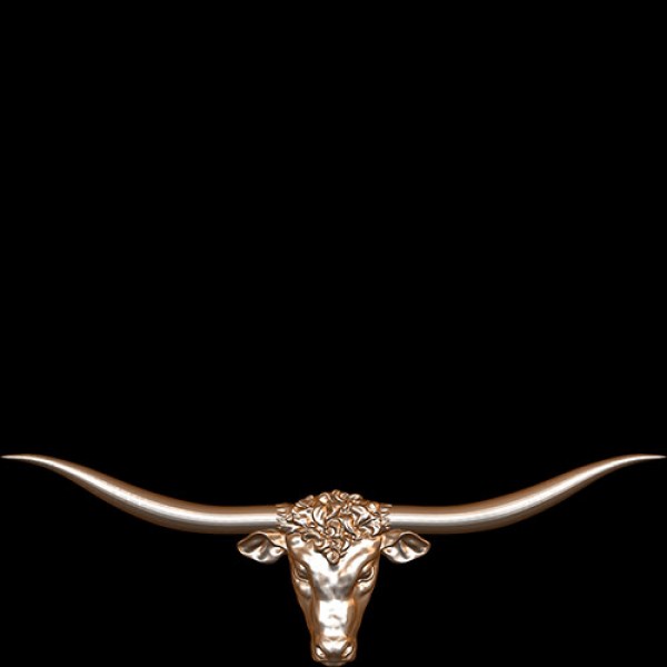 Longhorn Steer